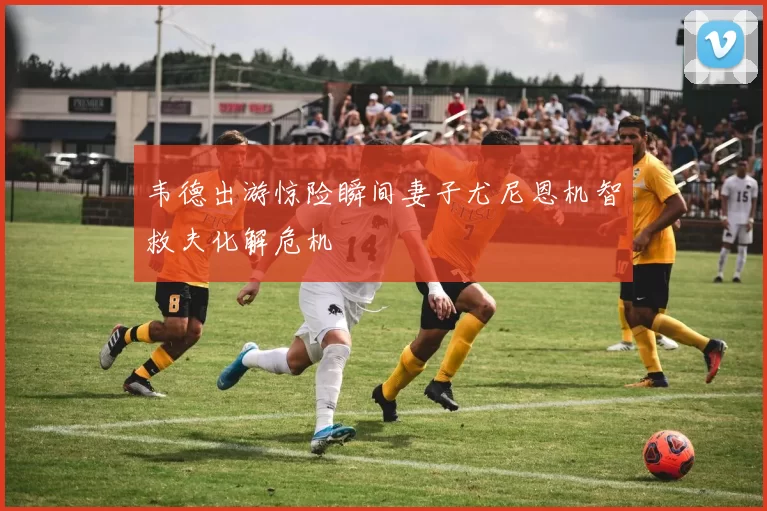韦德出游惊险瞬间妻子尤尼恩机智救夫化解危机