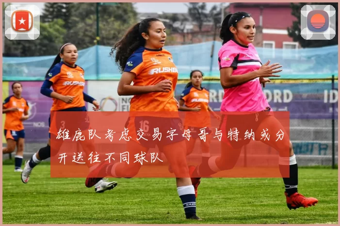 雄鹿队考虑交易字母哥与特纳或分开送往不同球队